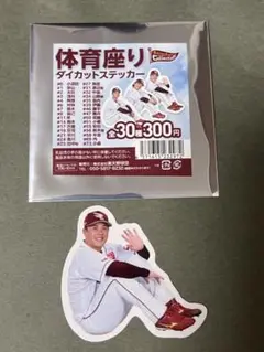 楽天イーグルス 体育座り ステッカー 藤井聖