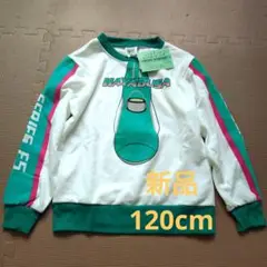 Item thumbnail for item 544a6509-fb33-40f0-8165-8a3d38fd5463