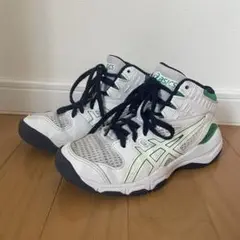 アシックス　ダンクショット　バスケットボールシューズ　バッシュ　20cm