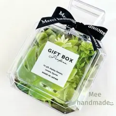 ボトルフラワー 香水 ボトル フラワーギフト グリーン多肉植物 モンステラ 22