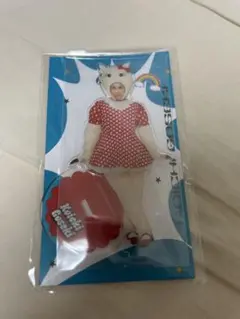 五関晃一　アクリルスタンド　トン子
