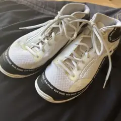 Item thumbnail for item 3c68208a-7a16-4f07-bec8-1eb8c5b4e33c