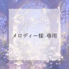 プレインシート　専用