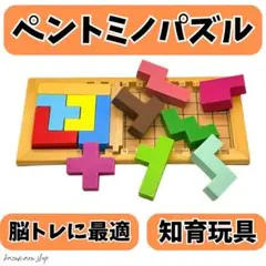 ペントミノパズル 型はめ カタミノ テトリス モンテッソーリ 知育玩具 木製⑤
