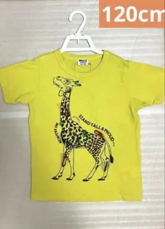 ☆BREEZE☆キリンプリントTシャツ☆