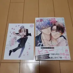 幼馴染は溺愛クールビューティー