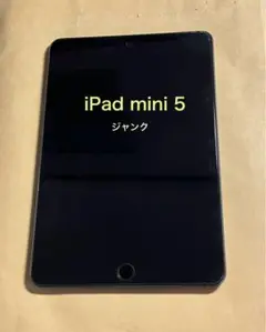 【ジャンク】　iPadmini5 64GB セルラー　液晶パネル損傷