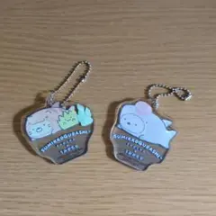 【中古品】上越水族館　すみっコぐらし アクリルキーホルダー 2体セット　非売品