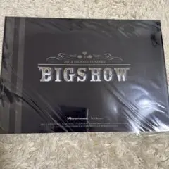 BIGBANG 2012 BIGSHOW クリアファイル