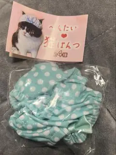 Item thumbnail for item 75060ece-2b71-443c-8297-88c7ea04e3d0