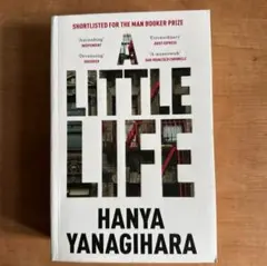 A Little Life Hanya Yanagihara