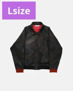 Item thumbnail for item 816018ba-00a6-42d4-ac0e-edcfa5b84941