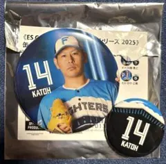 ファイターズ 加藤貴之缶バッジセット