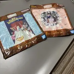アリス・イン・ワンダーランド & 白雪姫 タオル2枚セット
