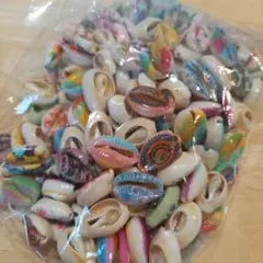 貝殻 ハンドメイド パーツ用