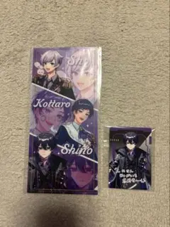 VOISINGチップス3 ナムコ限定 オリジナルチケットファイル しの
