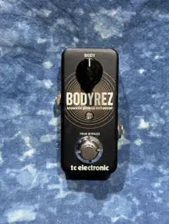 2025年最新】tc electronic bodyrezの人気アイテム - メルカリ