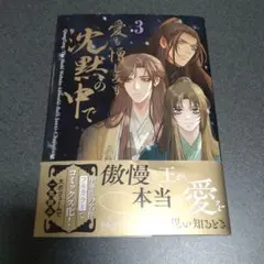 愛も憎しみも沈黙の中で 3