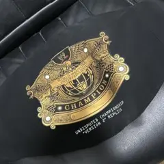 ＷＷＥチャンピオンベルト 収納ケース