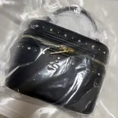 セルフォード リュタン ビジュースタッズバニティバッグ