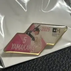 ホークス 山川穂高 ピンバッジ