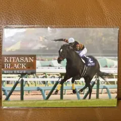 キタサンブラック 引退記念ポストカードセット／引退式当日限定配布