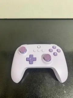8Bitdo Ultimate C 有線コントロール