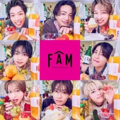FAM 通常版 3.4