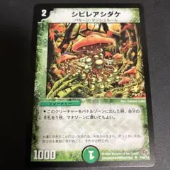 2025年最新】シビレアシダケ プロモの人気アイテム - メルカリ