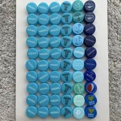 ペットボトルキャップ　青系　60個　匿名配送　送料込