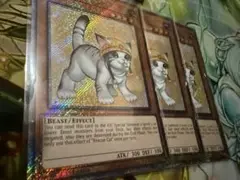 遊戯王 レスキュー・キャット エクストラシークレット 絵違い 3枚 英版 美品