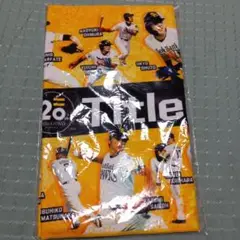 非売品 未開封 Sh20thタイトルホルダーフェイスタオル　ホークス　新品未使用
