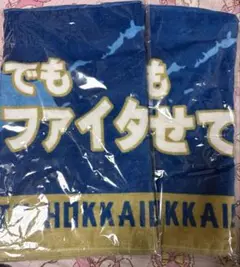北海道日本ハムファイターズ応援タオル 福岡限定