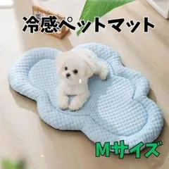 Item thumbnail for item 0e7b19a7-40e8-46eb-a33b-88ca5cd371fc