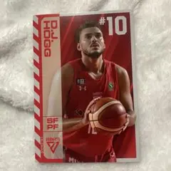GiGO Bリーグカード　DJホグ選手