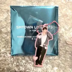 SMTOWN LIVE 2025 ランダムミニアクリルキーホルダー B ドンヘ