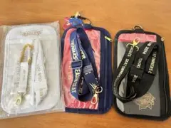 東北楽天ゴールデンイーグルス　チケットフォルダー　楽天