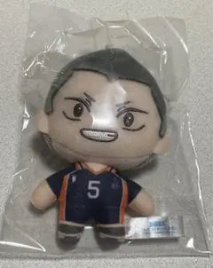 ハイキュー セガラッキーくじ マスコット ぬいぐるみ 田中龍之介