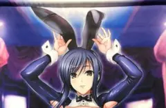 こもりけい Loveit !! Wタペストリー コレクション 02 柊木綾子