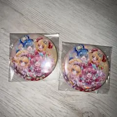デリシャスパーティプリキュア　食玩缶バッジ　2個セット