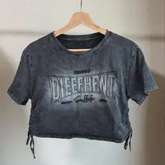 spray ピグメントシャーリング　Ｔシャツ