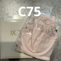 Item thumbnail for item 73c36a6c-a17d-4218-bba4-a9d080c901d3