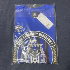 新品未使用 ガンバ大阪 2014シーズン リーグ優勝記念Tシャツ Lサイズ