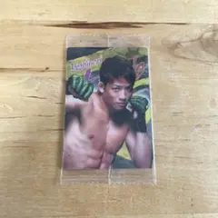RIZIN 堀江義則 トレーディングカード No.29
