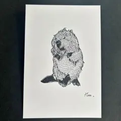 ボールペン画　ビーバー