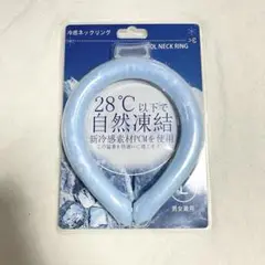 Item thumbnail for item 65d64ed3-1b98-4773-a2b9-bf91ac26003c