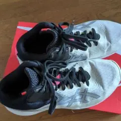 Item thumbnail for item 66dd4859-12b5-4040-bab9-7e12654e48d9