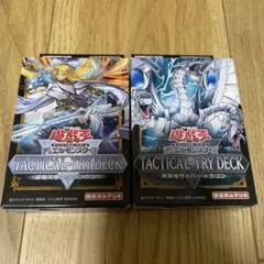 終撃竜サイバー・ドラゴン　退魔天使エクソシスター　各1つ