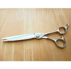 Item thumbnail for item 28189ed9-c9c3-48f1-927b-385f3eb1e955