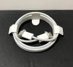 Apple純正　充電ケーブル USB タイプC to C ケーブル　新品、未使用